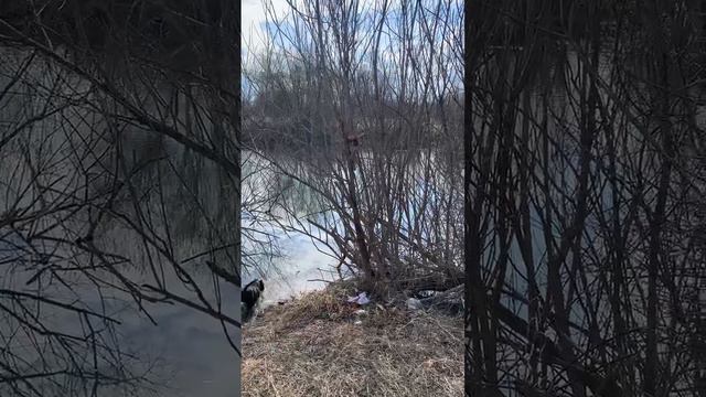 VID_20240428_131258_379.mp4