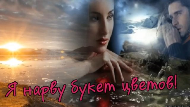 Александр Шедловский - Я нарву букет цветов!