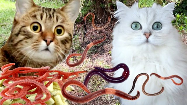 ЧЕРВИ АТАКУЮТ!!!  Кто нас СПАСЁТ???? ДЕТЯМ смотреть НЕЛЬЗЯ!!!