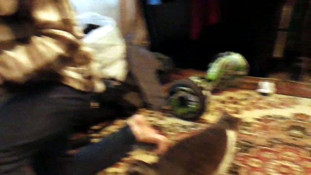Как подключить ТВ приставку к старому телевизору? Подробности и хитрости подключения