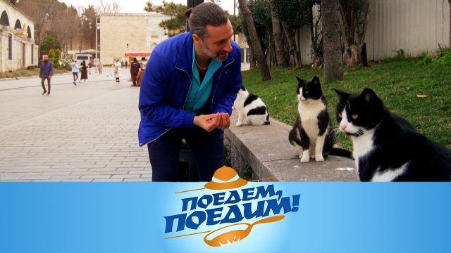 Стамбул: кофе из пробирки, необычный кебаб, цветы с фаршем и хаммам во дворце | «Поедем, поедим!»