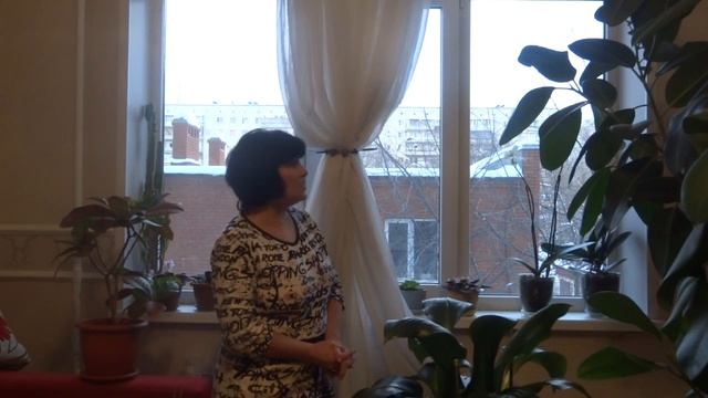Пластиковые Окна VEKA   Видео отзыв о компании Студия окон