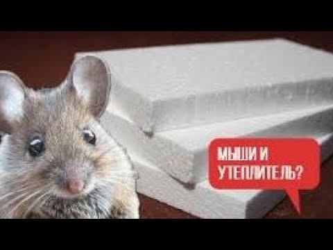 Защита утеплителя под сайдингом от мышей.