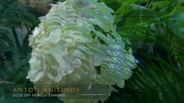 Спокойная Музыка Для Снятия Стресса  - RELAXING PIANO - Music - Белый Шум _ Stress Relief Music