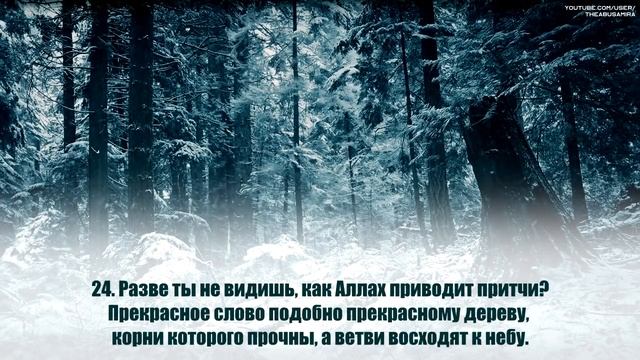 Омар Хишам [Omar Hisham]. Сура  Ибрахим .