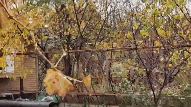 Первый снег, Майкоп,  Maykop, 28.11.2023