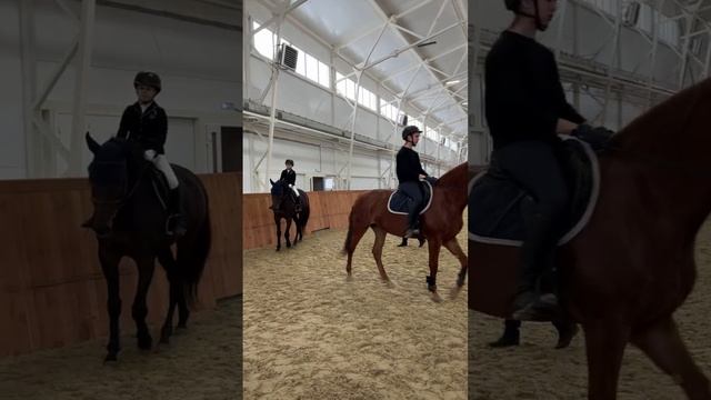 Наши экскурсии в конном клубе Ход конем