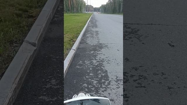 максимальная скорость питбайка kayo 125