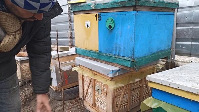 Какие летки открывать или закрывать в ульях зимой? Как зимовать без сырости в улье