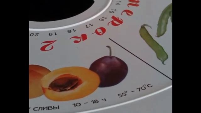 Как посушить сливы. Есть НЮАНСЫ!
