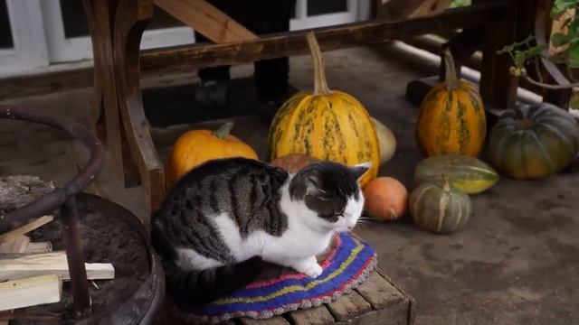 Кутабы с зеленью Азербайджанская Кухня Деревенская Кухня Рецепты