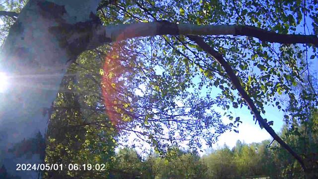 video_7211281356169.mp4