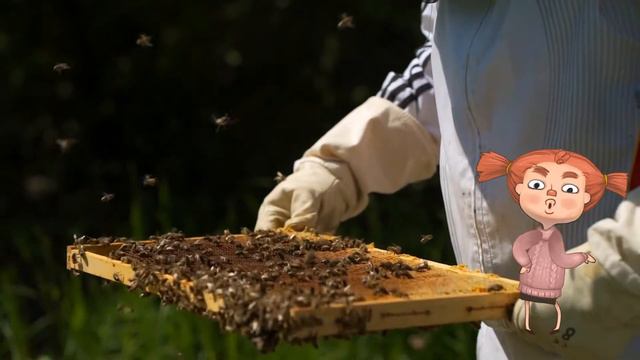 0+ Чем удивительны пчелы? Почемучка. Детская энциклопедия.