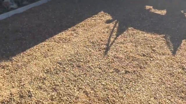 Как сделать парковку своими руками. тротуарная плитка