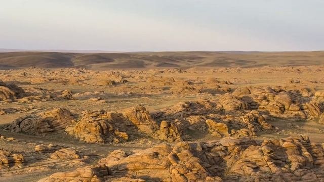 Пустыня Сахара самая большая? Топ самых больших пустынь мира.