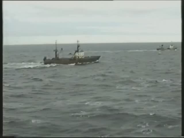 Рыбалка в море на Супер Траулере. Подъем трала.