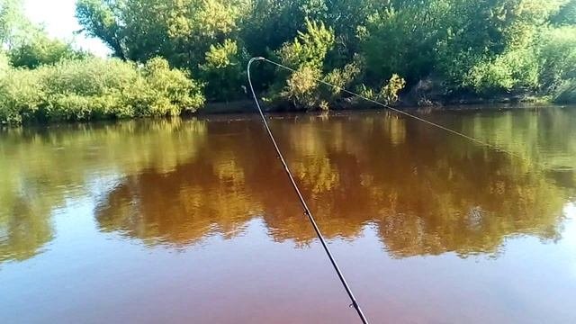 весеняя рыбалка.mp4