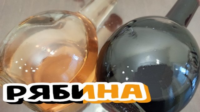 НАСТОЙКА на РЯБИНЕ Красной и ЧЕРНОПЛОДНОЙ. Классический РЕЦЕПТ и Дегустация