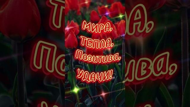 Добрый день!