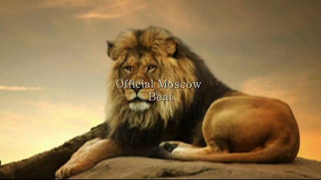 TENCA_____Lev________(MosCatalogue.net)