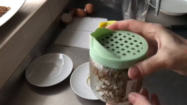 Проростки брокколи семян в банке с крышкой