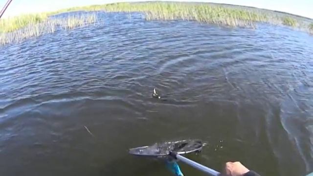 Рыбалка в Омской области оз Черталы