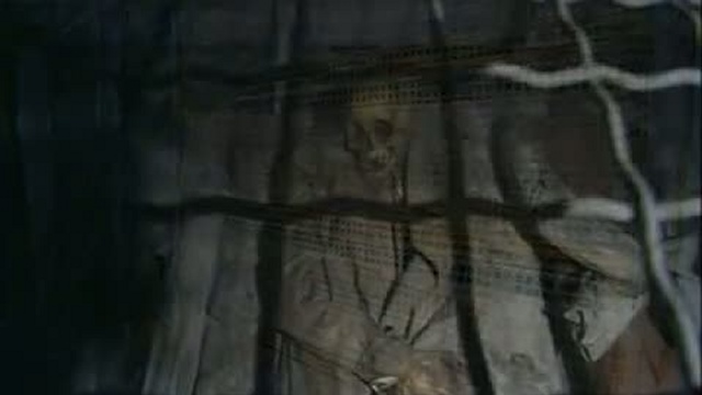 Катакомбы Палермо .