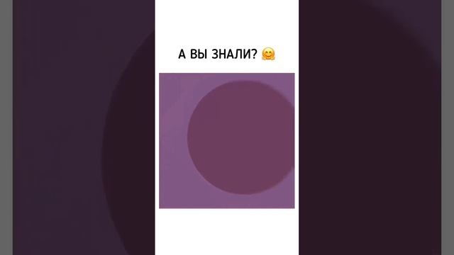 Лайфхаки для дома