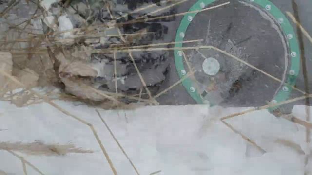 Ломолес на Ладоге