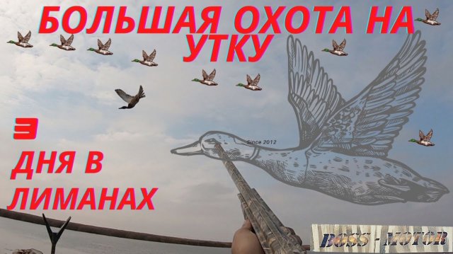 БОЛЬШАЯ ОХОТА / 3 дня в лиманах