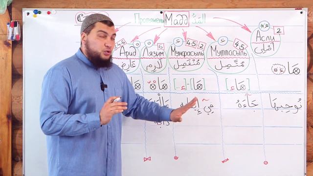 Урок № 26 «Мадд» - подведение итогов.