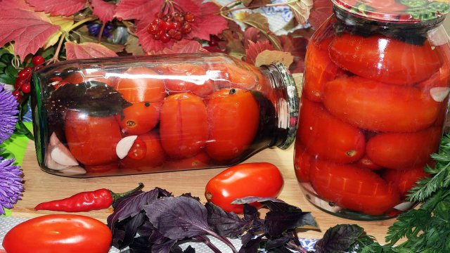 Маринованные помидоры с базиликом на зиму