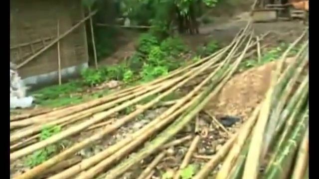 Трехэтажный дом из бамбука  Вы такого не видели!