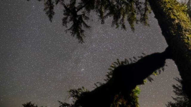 Красивая инструментальная музыка для души 12.04.2023.