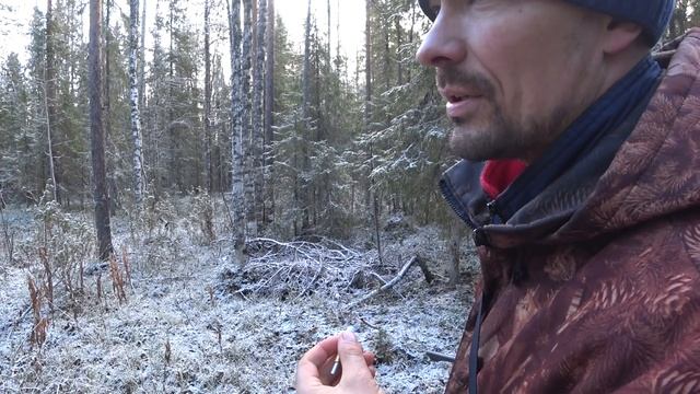 ОХОТА В ТАЙГЕ КОМИ КРАЯ / СЕВЕР / ПЕРВЫЕ ЗАМОРОЗКИ.