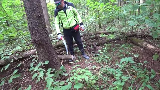 430313072_456239868.mp4