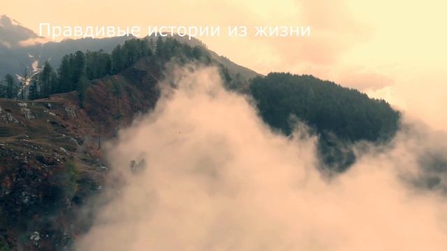? Заколка, которая стала причиной "урагана" ?  Жизненные истории