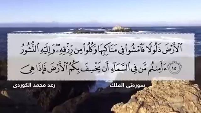 Сураи Таборак