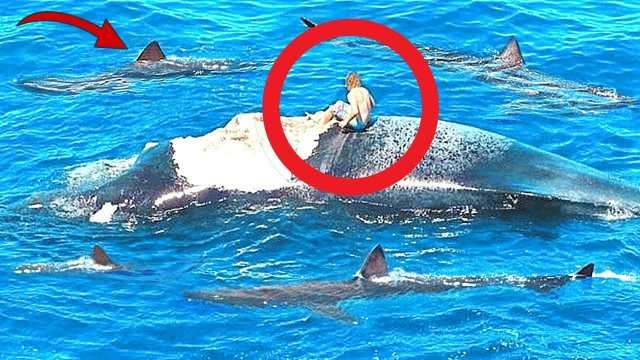 25 Удачливых Людей Снятых на Камеру