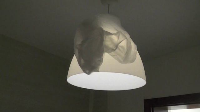 Моргает светодиодная лампа после выключения