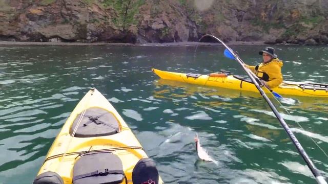 Рыбалка с каяка на Камчатке: камбала каменушка