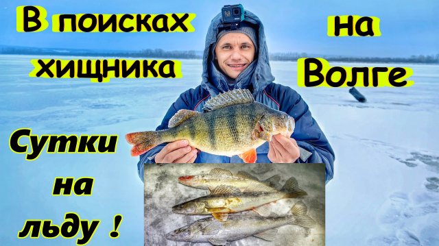 НОЧНОЙ СУДАК И КРУПНЫЙ ОКУНЬ НА ВОЛГЕ/ЛОВЛЯ СУДАКА НА ВИБЫ/ОКУНЬ НА БАЛАНСИР/САМАРА,САРАТОВСКОЕ ВДХР