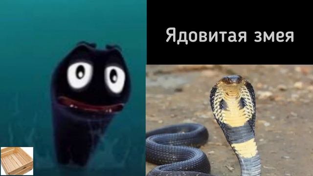 Самые опасные животные мира: