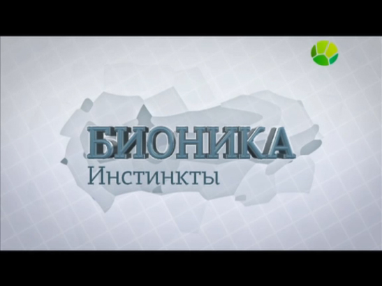 Бионика. Инстинкты