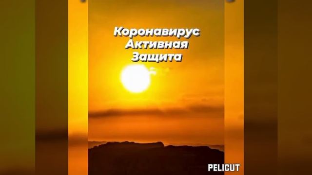 ?Защитная Матрица  Гаряева от коронавируса.