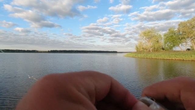 Рыбалка на вибы в августе. Ловля окуня и щуки на спиннинг.