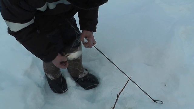 Зимняя рыбалка. Ловим косынками