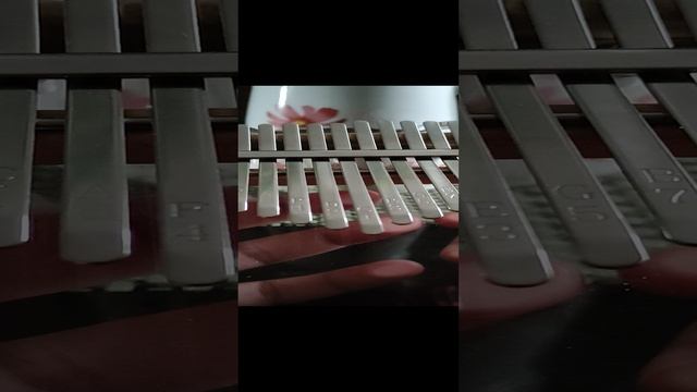 Момент счастья