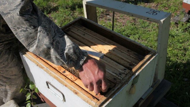 расширяю слабые семьи