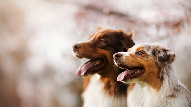 Notion & Elysian. Friends